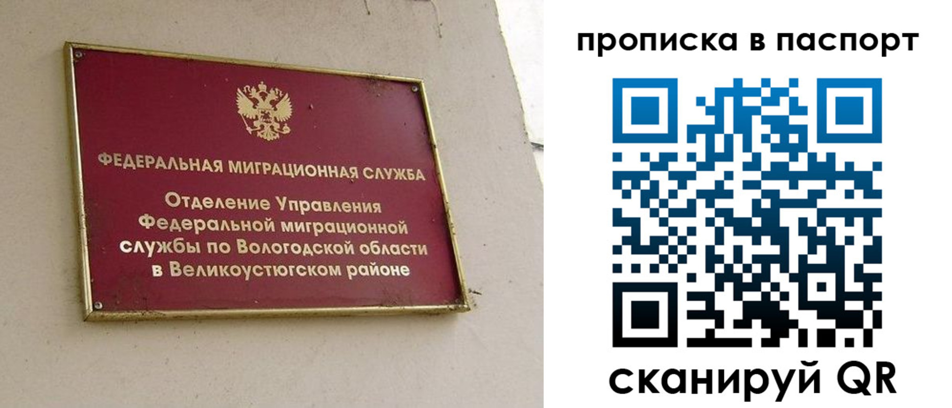 где прописаться в Воронежской области